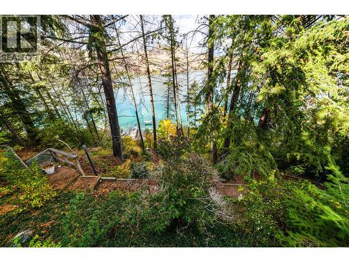 Forested trail down to  the Lake - 14038 Ponderosa Way, Coldstream, BC - Outdoor