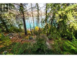 Forested trail down to  the Lake - 