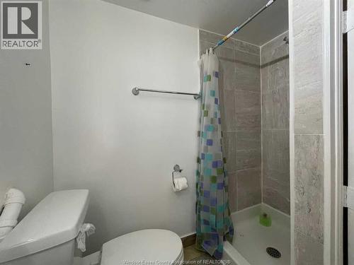 330 Elliott Avenue, Windsor, ON - Indoor Photo Showing Bathroom