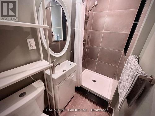 105 Massey Street, Toronto, ON - Indoor Photo Showing Bathroom