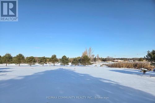 11490 Simcoe Street, Scugog, ON - Outdoor With View