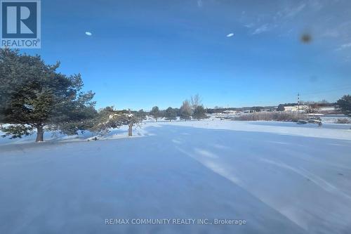 11490 Simcoe Street, Scugog, ON - Outdoor With View