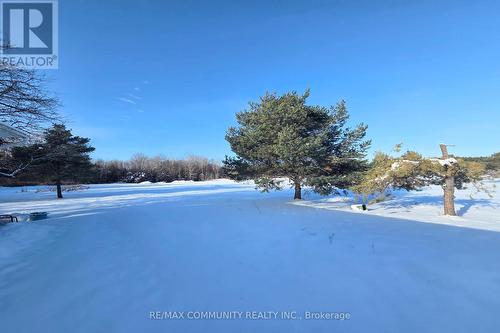 11490 Simcoe Street, Scugog, ON - Outdoor With View