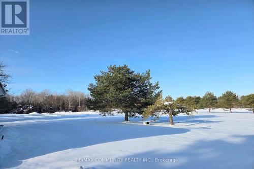 11490 Simcoe Street, Scugog, ON - Outdoor With View