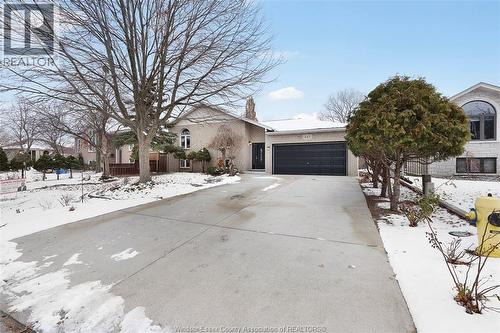 445 Olcott Avenue, Lasalle, ON - Outdoor