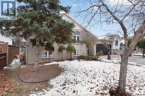 445 Olcott Avenue, Lasalle, ON - Outdoor