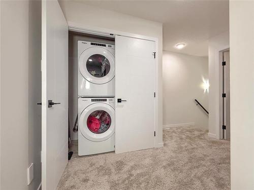 51 Dietrich Bay, Brandon, MB - Indoor Photo Showing Laundry Room