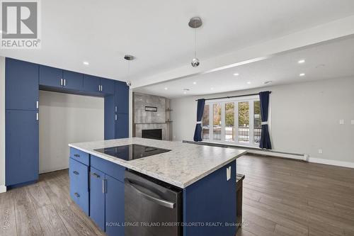 9755 Longwoods Road, Middlesex Centre, ON - Indoor Photo Showing Kitchen With Upgraded Kitchen