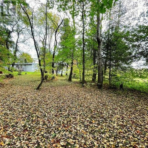 813016 East Back Line E, Grey Highlands, ON - Outdoor