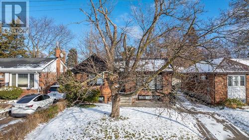 49 Ivordale Crescent, Toronto, ON - Outdoor