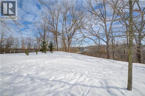 View of snowy yard - 54 Roos Street, Kitchener, ON 