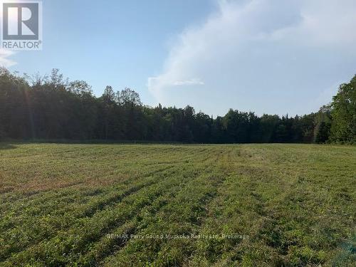 372 Mcdougall Road, Mcdougall, ON 