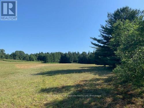 372 Mcdougall Road, Mcdougall, ON 