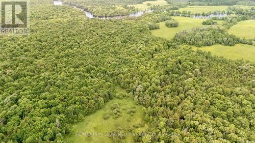 372 Mcdougall Road, Mcdougall, ON 