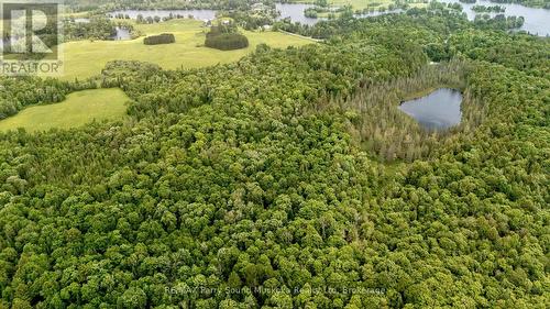 372 Mcdougall Road, Mcdougall, ON 