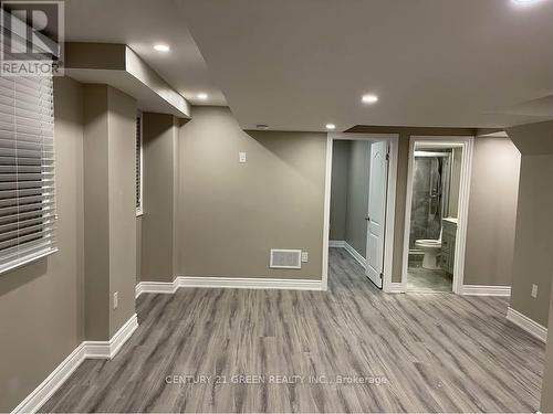 Basement - 1313 Raspberry Terrace, Milton, ON - Indoor