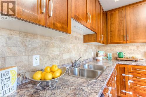 4A - 38 Howe Drive, Kitchener, ON - Indoor Photo Showing Kitchen With Double Sink