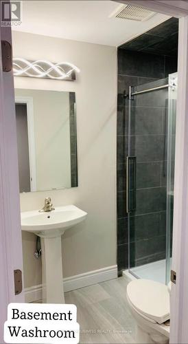 Basement - 199 Carriage Way, Waterloo, ON - Indoor Photo Showing Bathroom