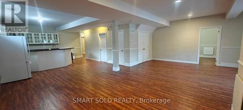 Lower - 248 Princess Avenue, Toronto, ON - Indoor Photo Showing Other Room