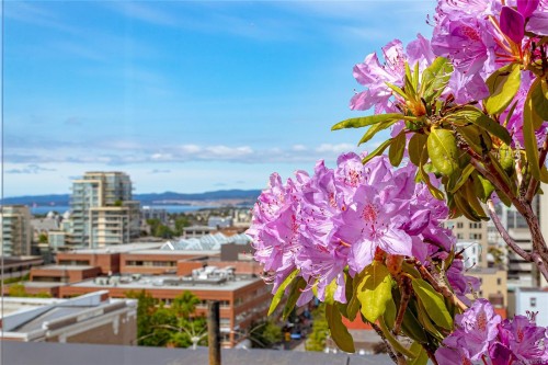 406-838 Broughton St, Victoria, BC - Outdoor With Body Of Water With View