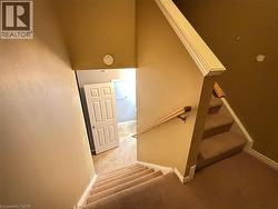 Staircase with carpet and baseboards - 
