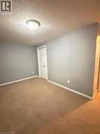 Spare room featuring carpet flooring and a textured ceiling - 