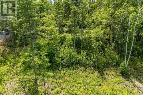 00 Mcanulty Road, Deep River, ON 