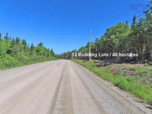 118 Acres Loch Lomond Road, Big Pond, NS 