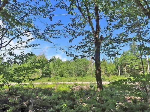 118 Acres Loch Lomond Road, Big Pond, NS 