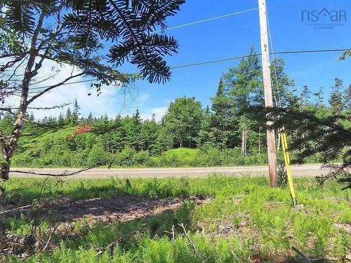 118 Acres Loch Lomond Road, Big Pond, NS 
