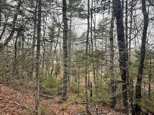 Lot Br-5 Highway 203, Lower Ohio, NS 