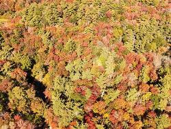 LOT BR-1 Bowers Road  Lower Ohio, NS B0T 1W0