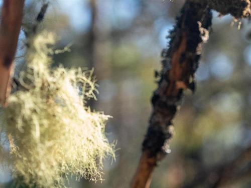 Lot Br-1 Bowers Road, Lower Ohio, NS 