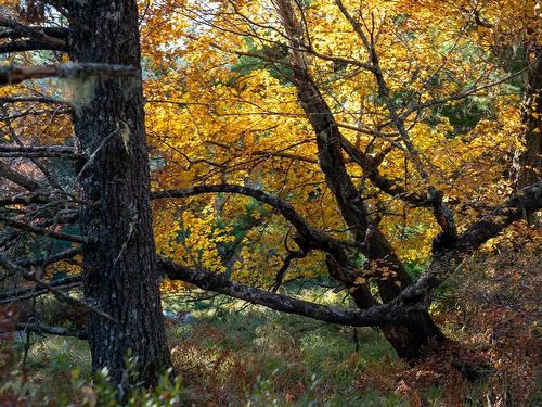 Lot Br-1 Bowers Road, Lower Ohio, NS 