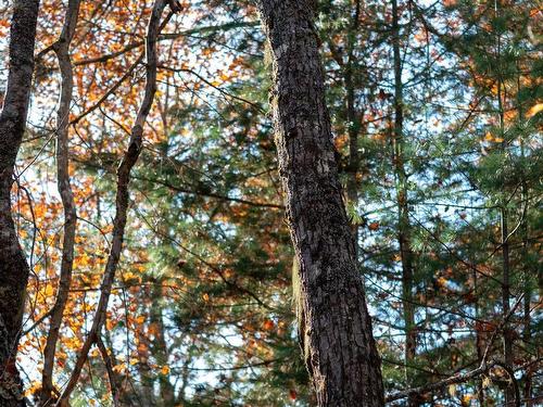 Lot Br-1 Bowers Road, Lower Ohio, NS 