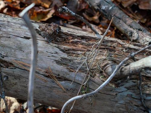 Lot Br-1 Bowers Road, Lower Ohio, NS 