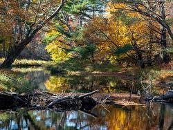 Lot BR-3 Bowers Road  Lower Ohio, NS B0T 1W0