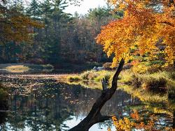 LOT BR-4 Bower Road  Lower Ohio, NS B0T 1W0