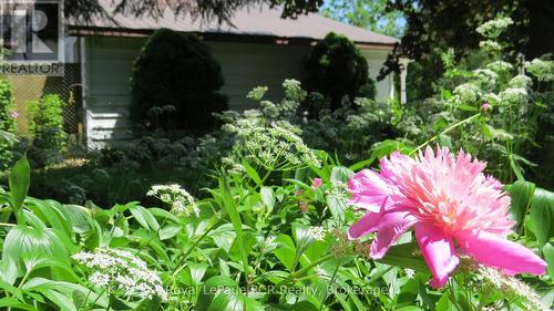 164 Edward Street, Saugeen Shores, ON - Outdoor