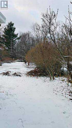 Rear Yard - 500 Lakeshore Road, Fort Erie (Lakeshore), ON - Outdoor With View