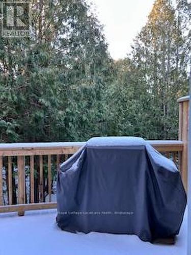 587 Oxbow Crescent, Collingwood, ON - Outdoor