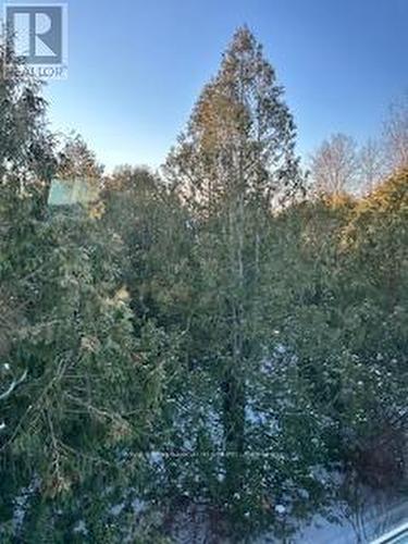 587 Oxbow Crescent, Collingwood, ON - Outdoor With View