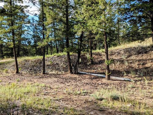 2400 Kootenay Rd No 3 Road, Windermere, BC 