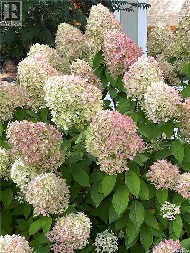 214 Clinton Place, Swift Current, SK - Outdoor