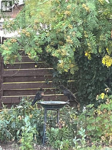 214 Clinton Place, Swift Current, SK - Outdoor