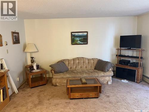 102 115 8Th Street Ne, Weyburn, SK - Indoor Photo Showing Living Room
