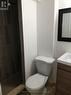 Basement-2 - 182 Confederation Drive, Toronto, ON  - Indoor Photo Showing Bathroom 