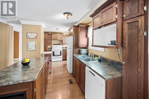 8 Green Street, St. John'S, NL - Indoor Photo Showing Kitchen With Double Sink