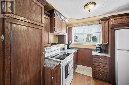 8 Green Street, St. John'S, NL - Indoor Photo Showing Kitchen