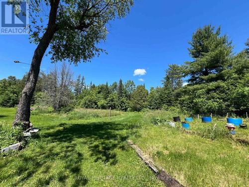 1095 Cleveland Road, Tudor And Cashel (Tudor Ward), ON 